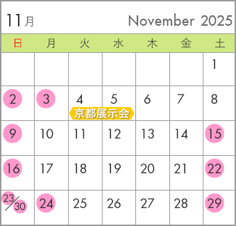 2025N11
