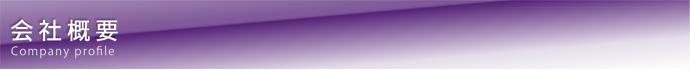 Џ